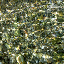 фото из отзыва ID 579022