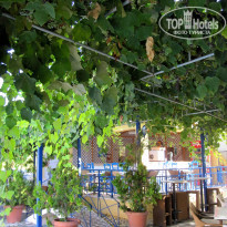 фото из отзыва ID 579022