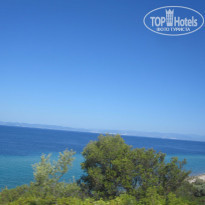 фото из отзыва ID 579022