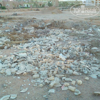 фото из отзыва ID 579102