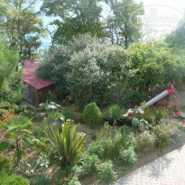 фото из отзыва ID 580723