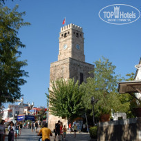 фото из отзыва ID 580859