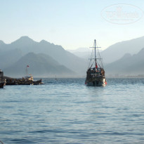 фото из отзыва ID 580859