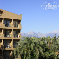 фото из отзыва ID 580922