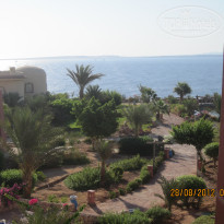 фото из отзыва ID 580957