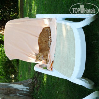 фото из отзыва ID 580966