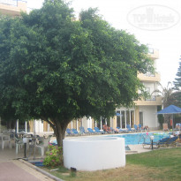 фото из отзыва ID 580975