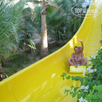 фото из отзыва ID 581071