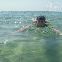 фото из отзыва ID 581396