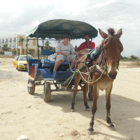 фото из отзыва ID 581396