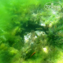 фото из отзыва ID 581684