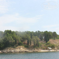 фото из отзыва ID 581730