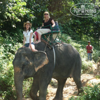 фото из отзыва ID 581803