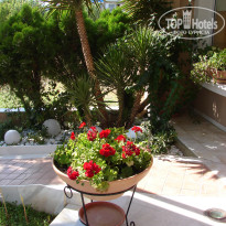 фото из отзыва ID 582075