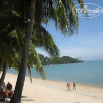 фото из отзыва ID 582343