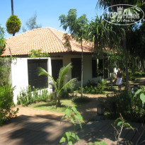 фото из отзыва ID 582385