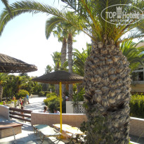 фото из отзыва ID 582421