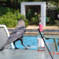 фото из отзыва ID 582634