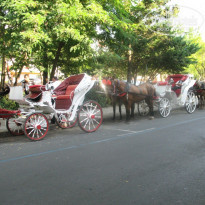 фото из отзыва ID 582782