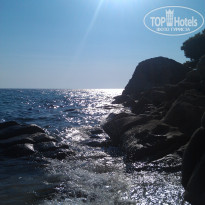 фото из отзыва ID 582878