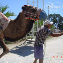 фото из отзыва ID 582916