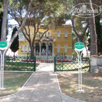 фото из отзыва ID 582681