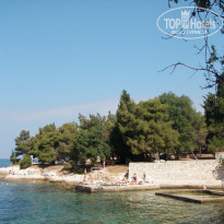 фото из отзыва ID 582681