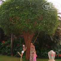 фото из отзыва ID 582634