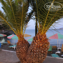 фото из отзыва ID 583020