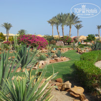 фото из отзыва ID 583301