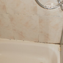 фото из отзыва ID 583450