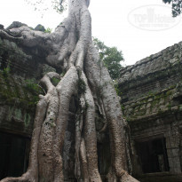 фото из отзыва ID 583741