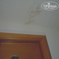 фото из отзыва ID 583840