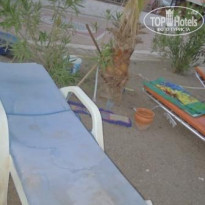 фото из отзыва ID 583840