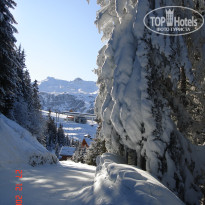 фото из отзыва ID 583033