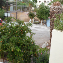 фото из отзыва ID 584036