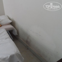 фото из отзыва ID 584190