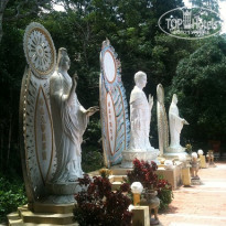 фото из отзыва ID 584278