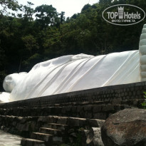 фото из отзыва ID 584278