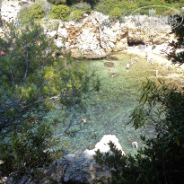 фото из отзыва ID 584442