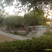 фото из отзыва ID 584482