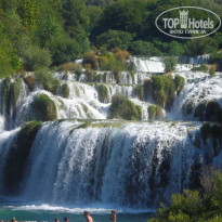 фото из отзыва ID 584584