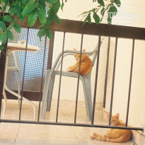 фото из отзыва ID 584617