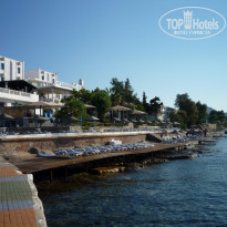 фото из отзыва ID 584989