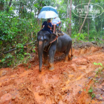 фото из отзыва ID 584955