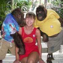 фото из отзыва ID 58447