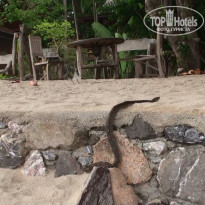 фото из отзыва ID 585211