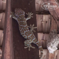 фото из отзыва ID 585211