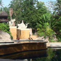 фото из отзыва ID 585211