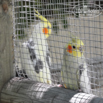 фото из отзыва ID 585244